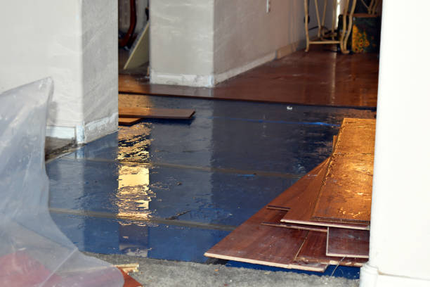 Professional Basement Flood Cleanup technician working in Kingsville, MO